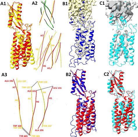 Refinement Of AlphaFold2 Models Against Experimental And Hybrid Cryo EM