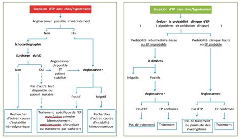 Diagnostic De Lembolie Pulmonaire Urgences Online