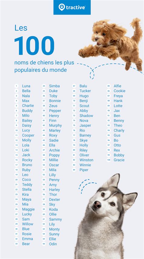 Quels Noms De Chien Sont Les Plus Populaires En France 58 Off