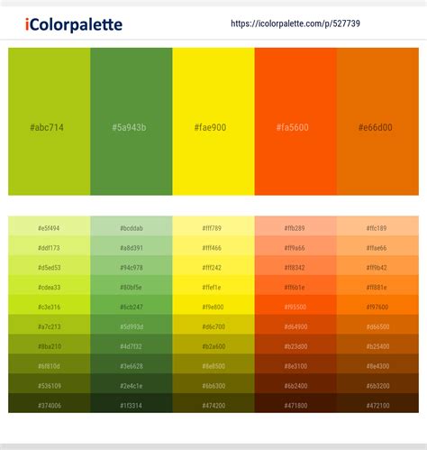 61 Latest Color Schemes with Clementine Color tone combinations | 2022 ...