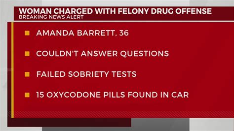 Woman Facing Felony Drug Charges Wkrn News 2