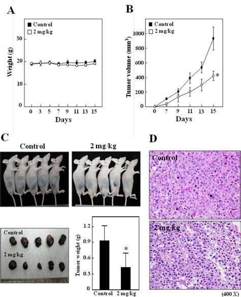 In Vivo Inhibition Of B16F10 Xenografted Proliferation By CoQ 0 A B