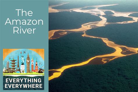 The Amazon River