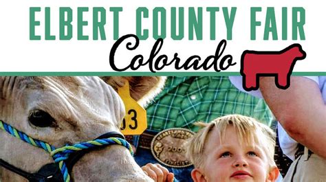 4 H Market Beef Show Elbert County Fair 2022 On Livestream