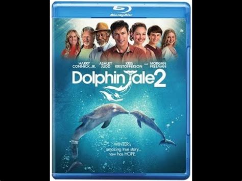 Opening To Dolphin Tale 2 2014 DVD YouTube