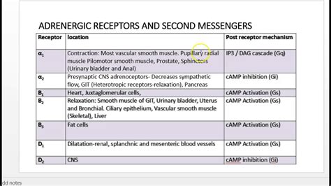 Adrenergic Receptor