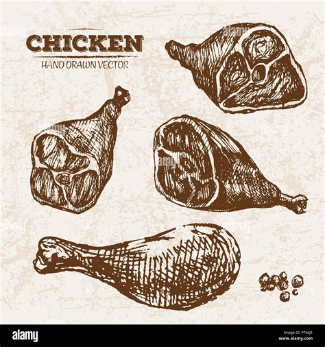 Hand Drawn Sketch Chicken Legs Meat Products Set Farm Fresh Food