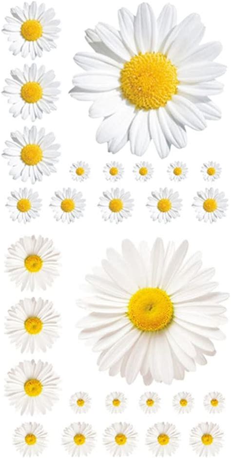 Rofarso Flowers Daisy Sunflower Grass Colorful Pvc Wall