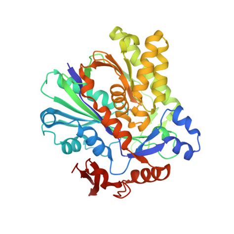 RCSB PDB 1XPK CRYSTAL STRUCTURE OF STAPHYLOCOCCUS AUREUS HMG COA