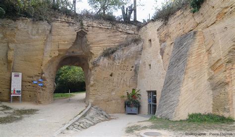 Les Faluns Mioc Nes De Dou La Fontaine Maine Et Loire Mis En Valeur