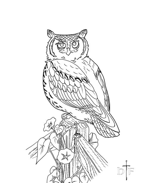 Free Printable Owl Coloring Pages For Adults