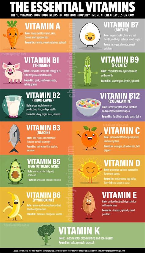 Vitamin Cheat Sheet Visual Guide For All 13 Vitamins In 2024