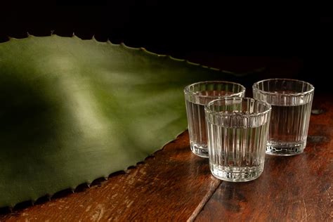 Differences between Tequila and Mezcal Hotel Cabañas Tulum