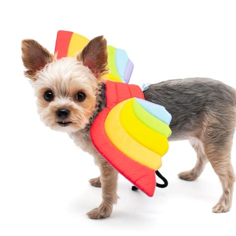 Rainbow Wings Dog Halloween Costume – PupLife Dog Supplies