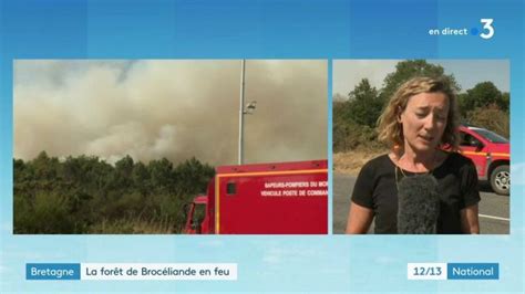 Incendies En Bretagne La Forêt De Brocéliande Est En Feu