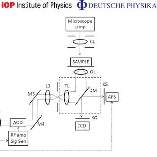 Optical Trapping Apparatus Schematic Showing The Trapping Laser Beam