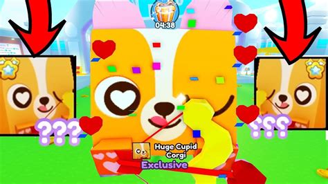 He Hatched St Huge Cupid Corgi On Camera Pet Simulator X Roblox