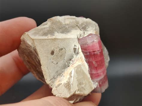 Tormalina Var Rubellite Cristalli Su Matrice Altezza 6 Cm