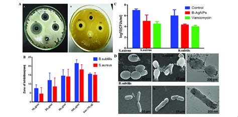 Antibacterial Activity Of As Synthesized Biogenic Silver