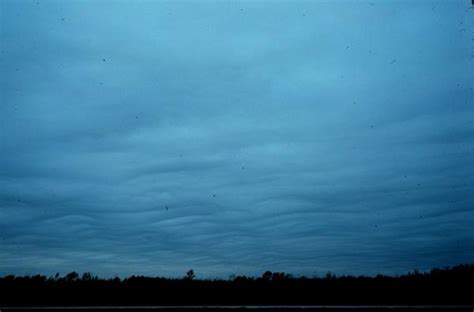 Datos E Información Meteorológica Clases O Tipos De Nubestypes Of Clouds