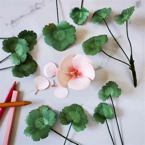 These Stunning Paper Plants Will Have You Adding To Your Collection Stat