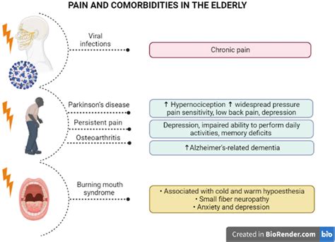 Frontiers Chronic Pain In The Elderly Mechanisms And Perspectives