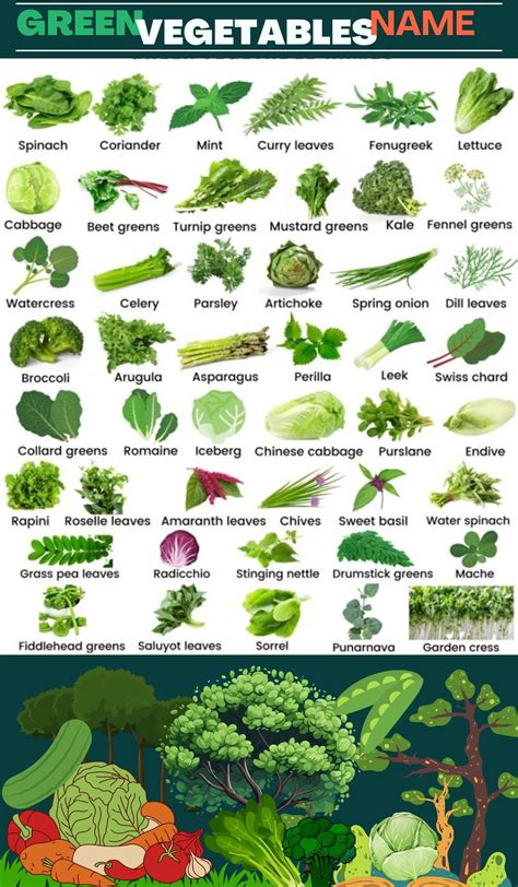 50 green leafy vegetables names in english with pictures – Artofit