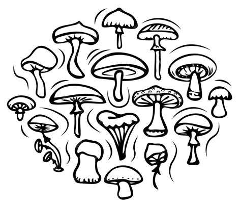 Premium Vector A Selection Of Simple Drawings Of Mushrooms In Black