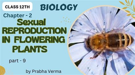 Class 12th Biology Chapter 2 Sexual Reproduction In Flowering Plants Part 9 Kota Science