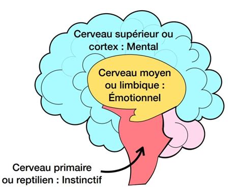 Claire Ricolleau Gili Miro Psychothérapie EMDR Victimologie