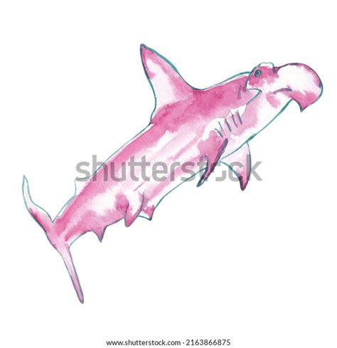 Watercolor Hammerhead Shark Clipart Illustration Isolated 库存插图