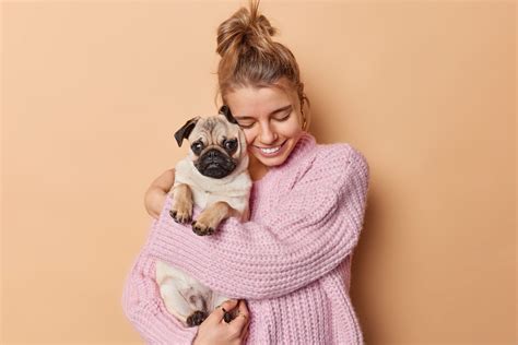 Alimentos Que Debes Evitar Dar A Tus Mascotas