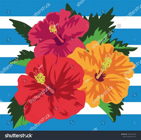 Hibiscus Over Royalty Free Licensable Stock Vectors Vector