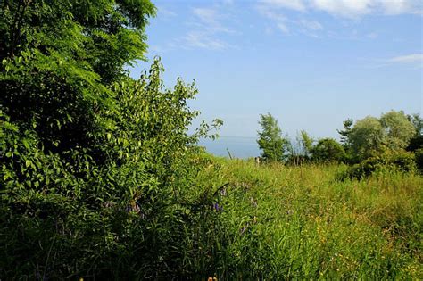 Mishy's Corner of the World: Highland Creek Trail (and Colonel Danforth ...