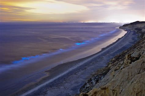 Everything You Need To Know About Red Tide In California