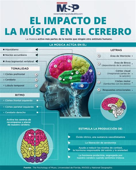 Los Efectos De La M Sica En El Cerebro Audiolog A