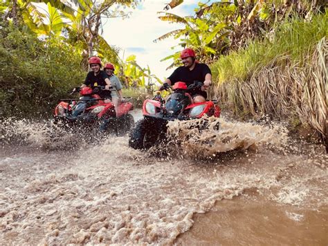 Ubud Aventure En Quad Gorilla Face Avec D Jeuner Getyourguide