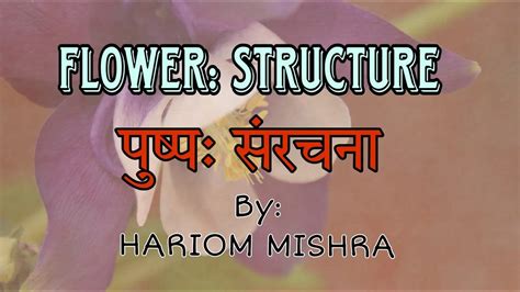 Structure Of Flower पुष्प की संरचना Neet Cuet B Sc 12th