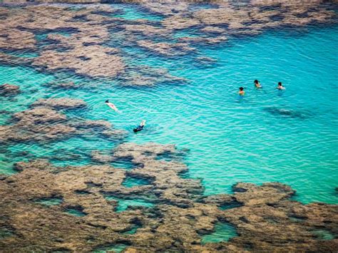 Snorkeling In Waikiki Hawaii Travel Guide