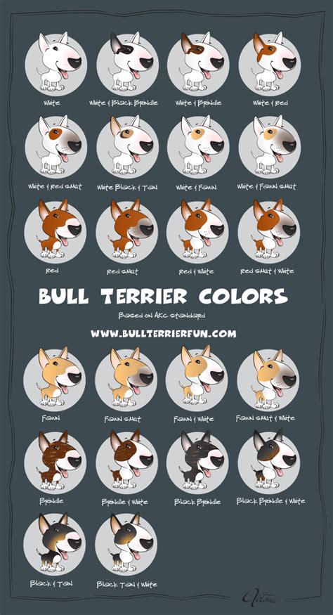 bully_colors - Bullterrierfun.com