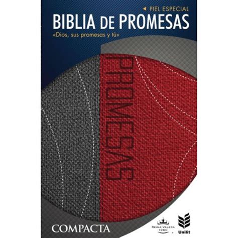 Biblia Reina Valera De Promesas Unilit Compacta Gris Rojo