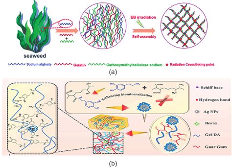 Schematic Diagram Of The Preparation Of Hydrogels A 3d Ph B Download Scientific Diagram