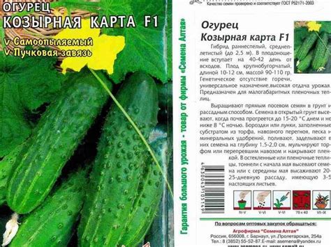 Самые урожайные сорта огурцов: описание и отзывы