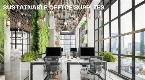 Everything About Sustainable Office Supplies From Materials To Cleaning ...