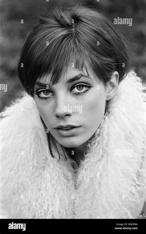 Jane Birkin Manequin Banque De Photographies Et Dimages à Haute