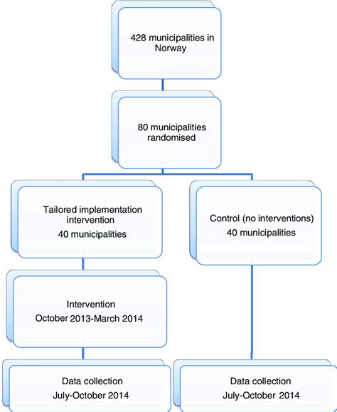 Flowchart For The Randomised Controlled Trial Rct Randomised