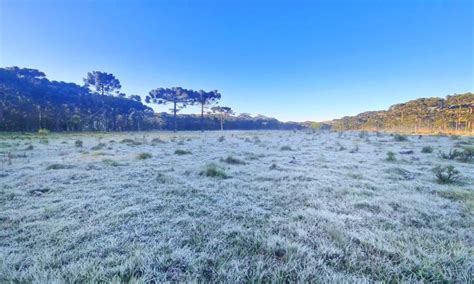 Quando Começa O Frio Em Santa Catarina - Santa Catarina registra geada em outubro. Entenda o que provoca o frio ...