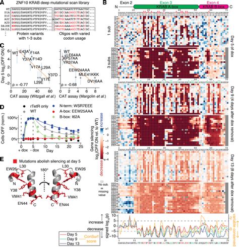 Deep Mutational Scan Of The Znf10 Krab Domain Identifies Substitutions