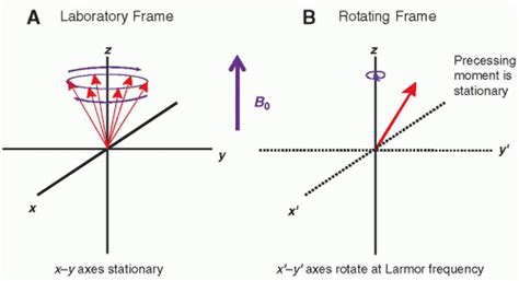 Magnetic Resonance Basics Magnetic Fields Nuclear Magnetic