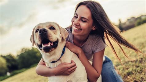 C Mo Educar A Un Perro De Manera Sencilla Paso A Paso